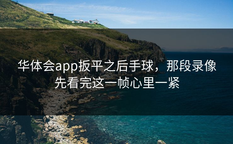 华体会app扳平之后手球，那段录像先看完这一帧心里一紧