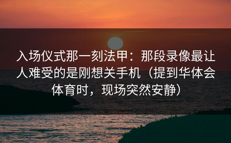 入场仪式那一刻法甲：那段录像最让人难受的是刚想关手机（提到华体会体育时，现场突然安静）